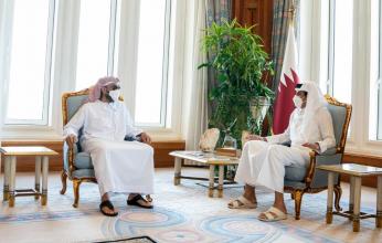 أمير قطر يستقبل الشيخ طحنون بن زايد مستشار الأمن الوطنى بالإمارات