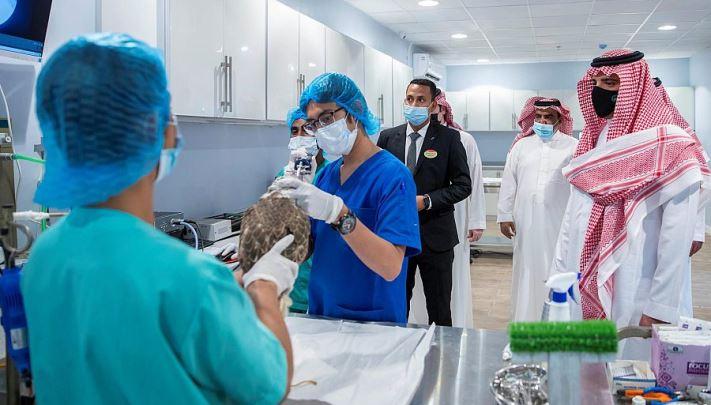 وزير الداخلية السعودي يزور المزاد الدولي لمزارع إنتاج الصقور وزير الداخلية السعودي يزور المزاد الدولي لمزارع إنتاج الصقور