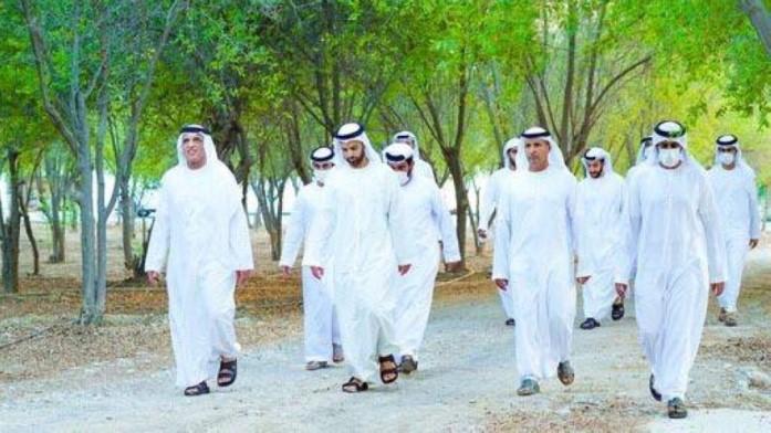 حاكم رأس الخيمة يتفقد مزرعة تضم 4000 شجرة زيتون على قمة «جيس» حاكم رأس الخيمة يتفقد مزرعة تضم 4000 شجرة زيتون على قمة «جيس»