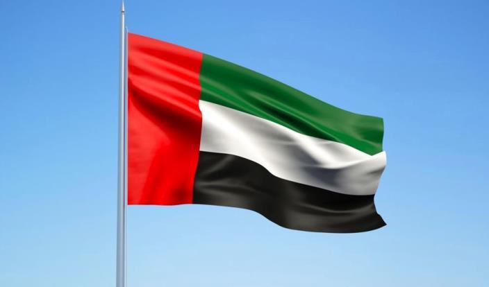 دولة الإمارات تدرج 38 فرداً و15 كياناً على قائمة الإرهاب دولة الإمارات تدرج 38 فرداً و15 كياناً على قائمة الإرهاب