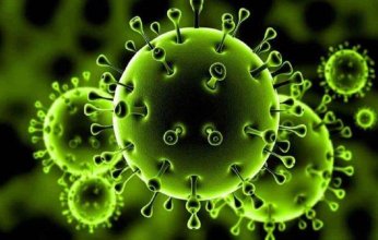 إصابات كورونا عالميا تتجاوز 244 مليون حالة