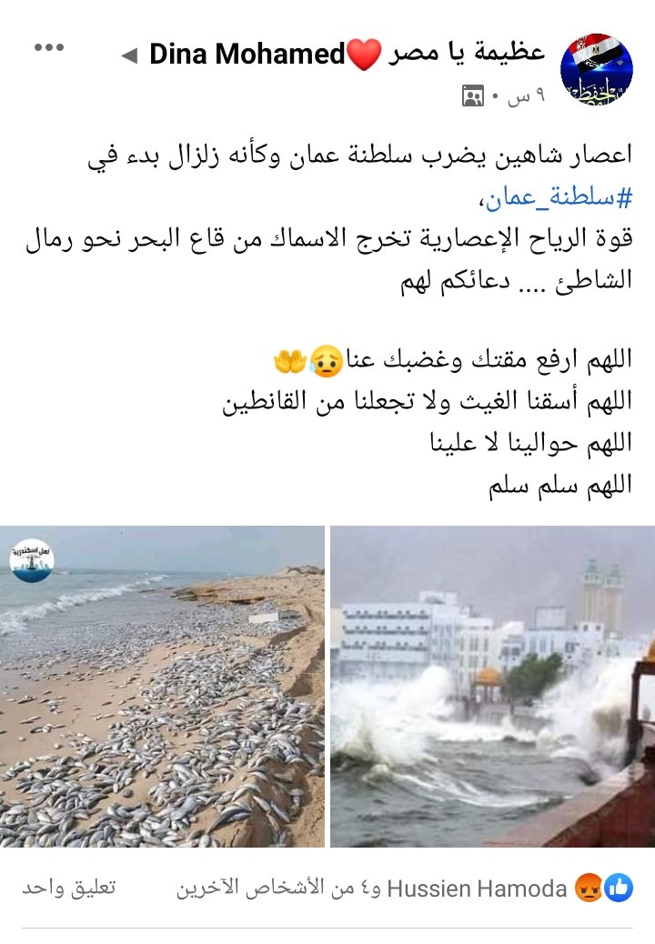 khaligyoun13059