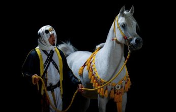 رفع تصنيف الفروسية السعودية إلى المستوى الثاني عالمياً