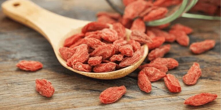 توت غوجي