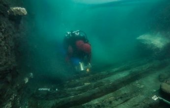 باحثون يرصدون مخلوقا أكبر من الإنسان في أعماق البحر الأحمر