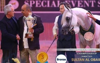 المهر « سلطان العبيد » يحصد برونزية بطولة العالم في ميلانو
