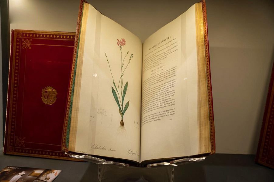 مخطوطات نادرة في معرض الرياض الدولي للكتاب