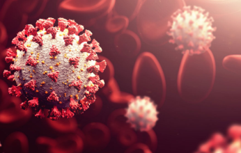 السعودية ترصد أول حالة إصابة بالمتحور (أوميكرون) لمواطن قادم من إحدى دول شمال أفريقيا