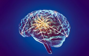 دراسة لجامعتي نيويورك و"نيويورك أبوظبي": الدماغ يميز استخدام لغتين بالفطرة