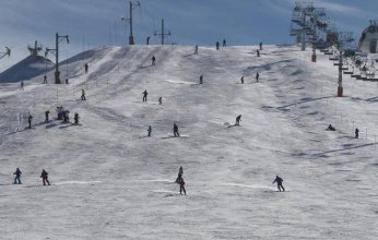 كيف انقذت مصر والعراق موسم البترول الابيض اللبناني