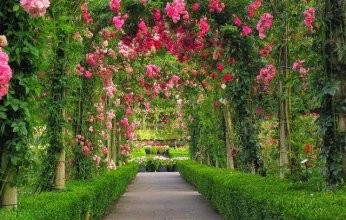 ابداعات اكسو دبي.. حديقة قابلة للأكل في سنغافورة تكشف فوائد الزراعة الحضرية