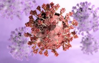 صحيفة عمانية: انتشار أوميكرون في العالم جنوني