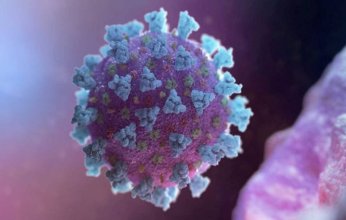 عالمياً.. .إصابات كورونا تتجاوز 272.55 مليون حالة