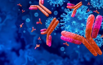 بعد العثور على اجسام مضادة لاوميكرون.. هل يقضي العالم على كورونا؟