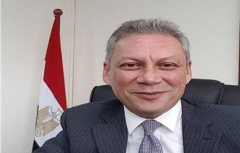 مندوب مصر في جامعة الدول العربية: هناك ارتباط وثيق بين الأمن القومي لكل من مصر والإمارات