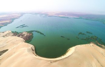 المملكة تزدهر.. خطوات جديدة في برنامج السعودية الخضراء ومقاومة التصحر