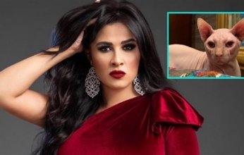 قط ياسمين عبد العزيز يشعل مواقع التواصل الإجتماعي