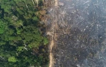 رئة العالم تنهار.. يناير يشهد كارثة جديدة بحق غابات الامازون فهل تنتقم؟