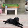 khaligyoun46730