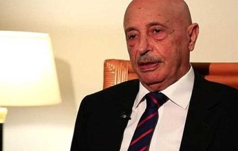 رئيس مجلس النواب الليبي يؤكد استمرار بلاده في دعم فلسطين