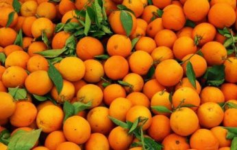5 فوائد سحرية للبرتقال ليست تقوية المناعة فقط