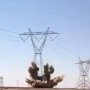 khaligyoun73401