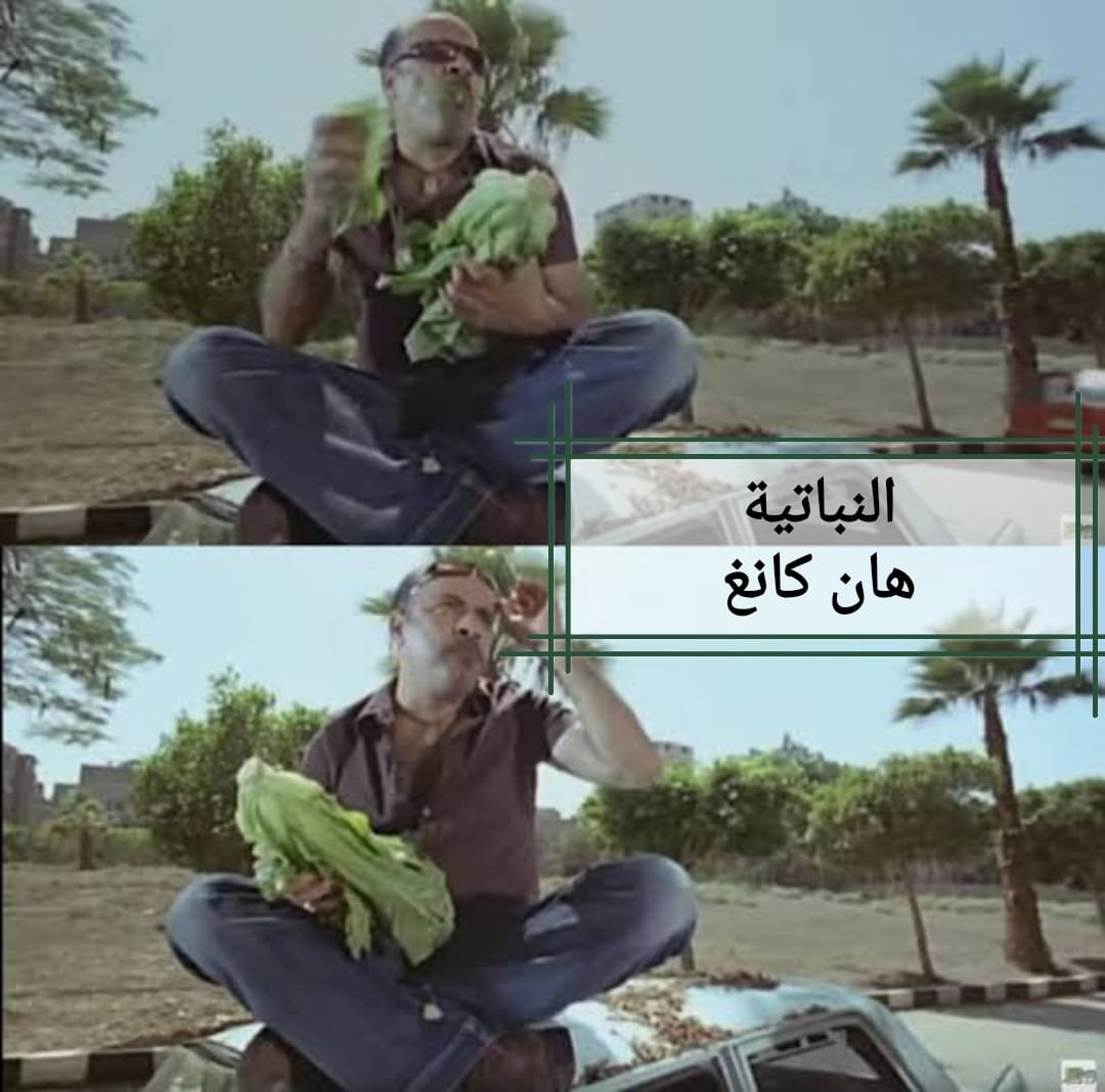 khaligyoun83952