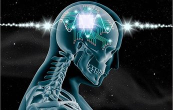 شركة «أيلون ماسك» تعترف.. زرع الرقائق في أدمغة الحيوانات تسببت في قتلها