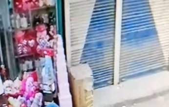 في واقعة طريفة.. كلب يخطف هدية عيد الحب من محل بمصر