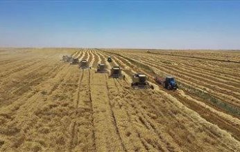 أوكرانيا تحظر تصدير عدد من السلع أبرزها اللحوم والبقوليات