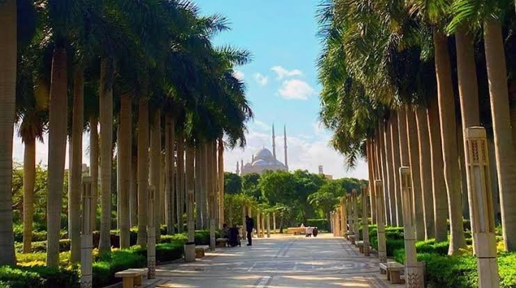 khaligyoun24875