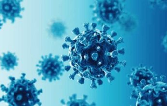 دراسة جديدة تكشف احتمالية انتقال فيروس كورونا من الغزلان للبشر