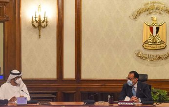 مصر والإمارات تبحثان سبل تعزيز العلاقات الاستراتيجية بين البلدين