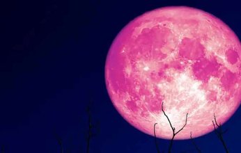 من السبت إلى الاثنين.. ظهور القمر الوردي الكامل في السماء