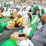 khaligyoun21653