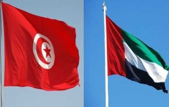 مباحثات إماراتية - تونسية بشأن حماية التراث الثقافى