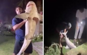 شاهد.. سعودي يصطاد سمكة قرش بصنارة بكورنيش الدمام