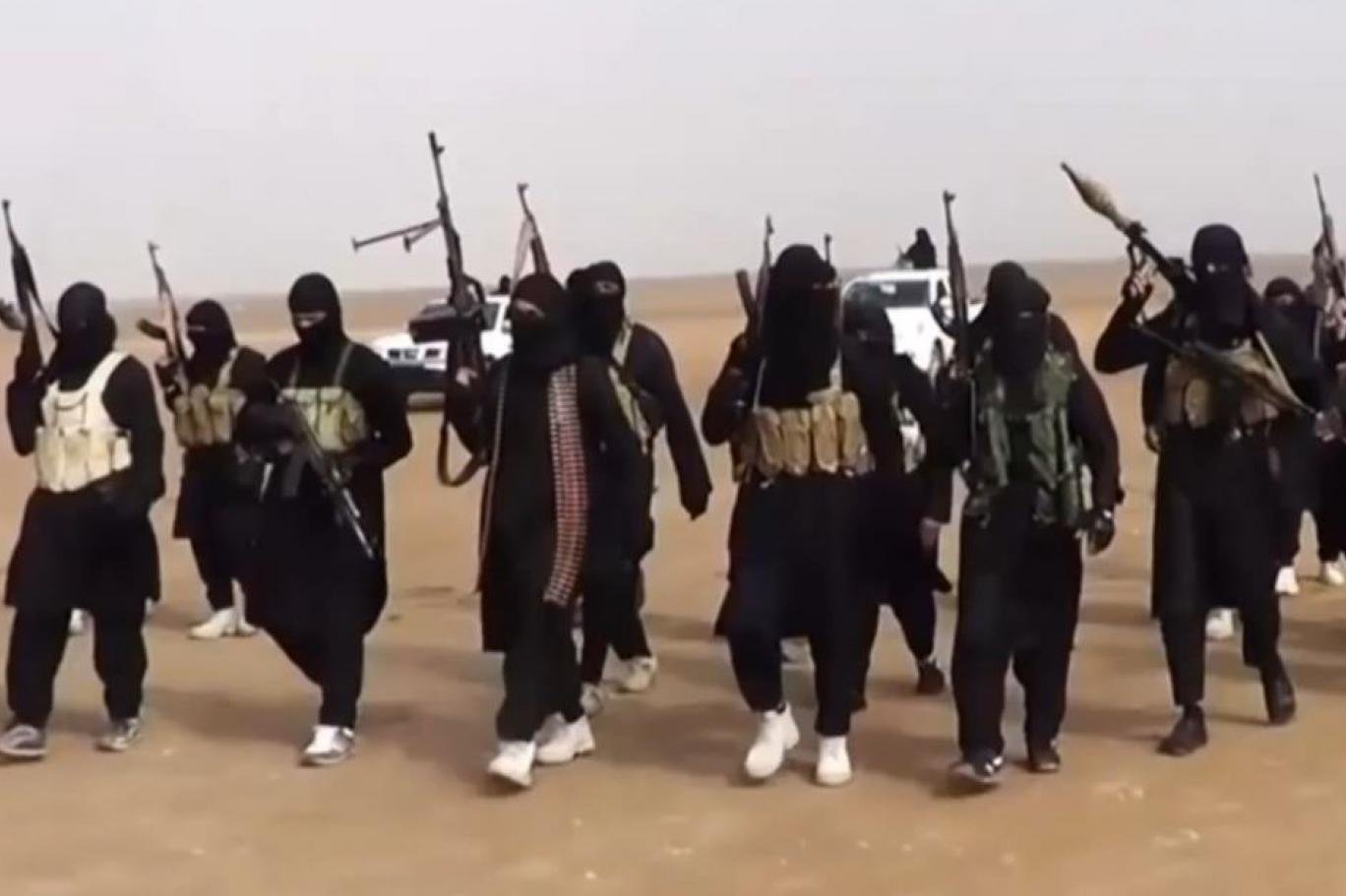 البرلمان الأوروبى يشيد بنجاح العراق فى دحر داعش البرلمان الأوروبى يشيد بنجاح العراق فى دحر داعش