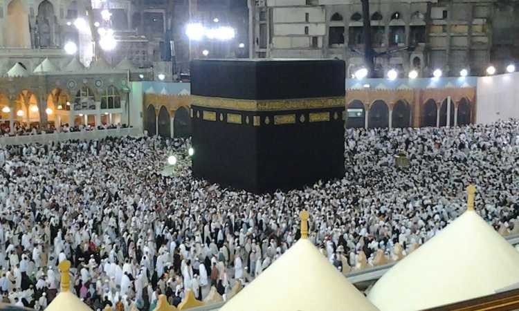 مصر.. قرعة الحج السياحى ستجرى إلكترونيا الأحد المقبل مصر.. قرعة الحج السياحى ستجرى إلكترونيا الأحد المقبل