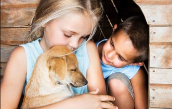 تحذير هام من خبراء الصحة في بريطانيا بشأن الكلاب الأليفة