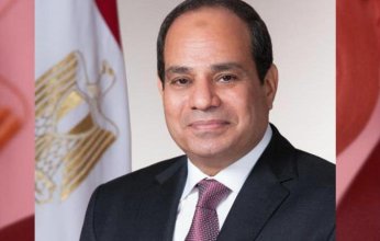 الرئيس السيسي: نثمن دور الأشقاء فى الخليج لدعم الاقتصاد المصرى