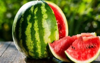 "الزراعة المصرية" تنفي تسبب البطيخ والخوخ في حالات تسمم