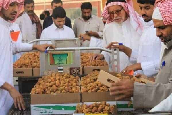 أكثر من نصف مليار ريال صادرات السعودية من التمور أكثر من نصف مليار ريال صادرات السعودية من التمور