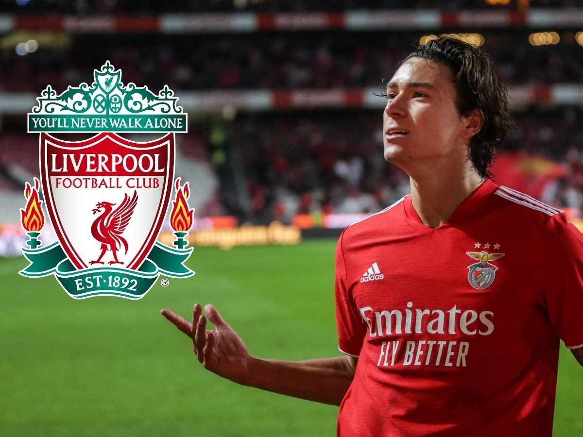 ليفربول يضم نونيز من بنفيكا رسميا مقابل 100 مليون يورو ليفربول يضم نونيز من بنفيكا رسميا مقابل 100 مليون يورو