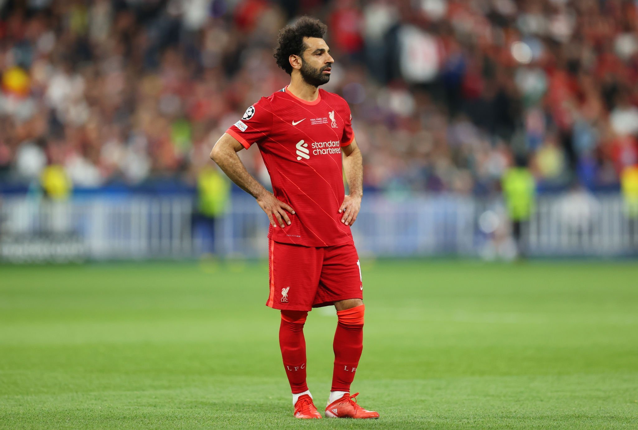 المدير الفني للفراعنة يستبعد محمد صلاح من مواجهة إثيوبيا المدير الفني للفراعنة يستبعد محمد صلاح من مواجهة إثيوبيا