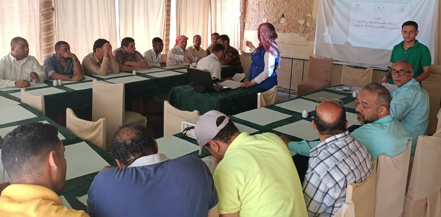 السياحة المصرية تنظم ورشة عمل لتدريب العاملين بالمنشآت الفندقية والمنتجعات بسيوة السياحة المصرية تنظم ورشة عمل لتدريب العاملين بالمنشآت الفندقية والمنتجعات بسيوة
