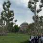 khaligyoun16725