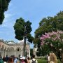 khaligyoun27105 1