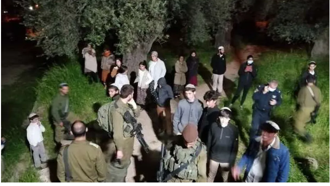 مُستوطنون إسرائيليون يعتدون على فلسطينيين في الخليل وأريحا مُستوطنون إسرائيليون يعتدون على فلسطينيين في الخليل وأريحا