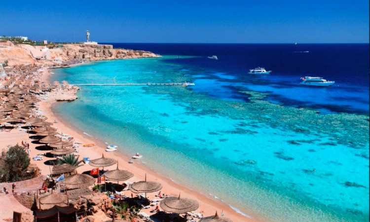 مصر.. إقبال كثيف من المواطنين على شواطئ البحر الأحمر مصر.. إقبال كثيف من المواطنين على شواطئ البحر الأحمر